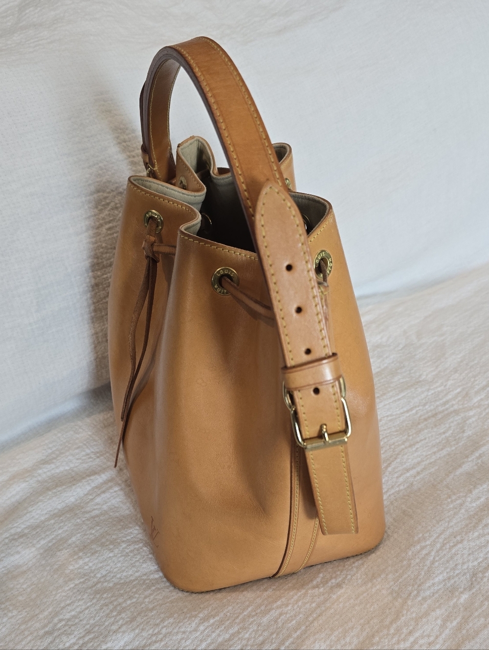 Louis - Picture 8 of 17